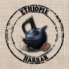 MOKA HARRAR HEIRLOOM