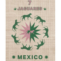 MEXIQUE Chiapas 7 JAGUARES