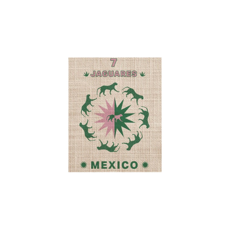MEXIQUE Chiapas 7 JAGUARES