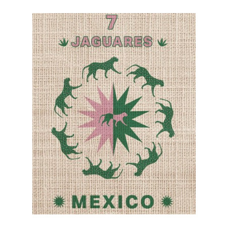 MEXIQUE Chiapas 7 JAGUARES