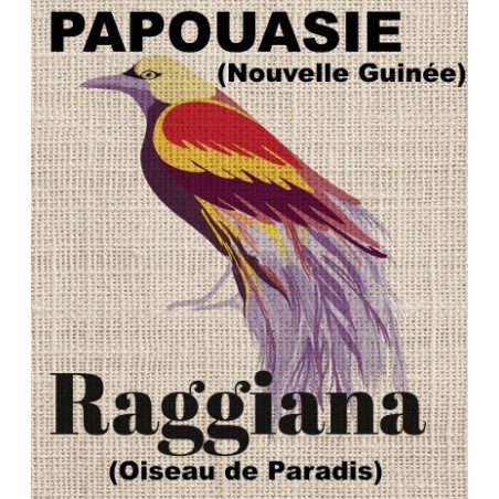 PAPOUASIE RAGGIANA