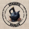 MOKA HARRAR MESELA