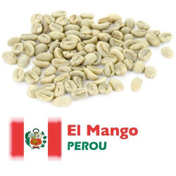 PEROU CAJAMARCA - EL MANGO