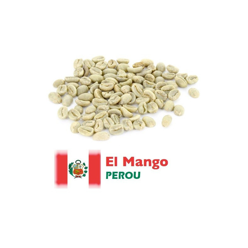 PEROU CAJAMARCA - EL MANGO