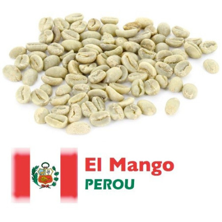PEROU CAJAMARCA - EL MANGO